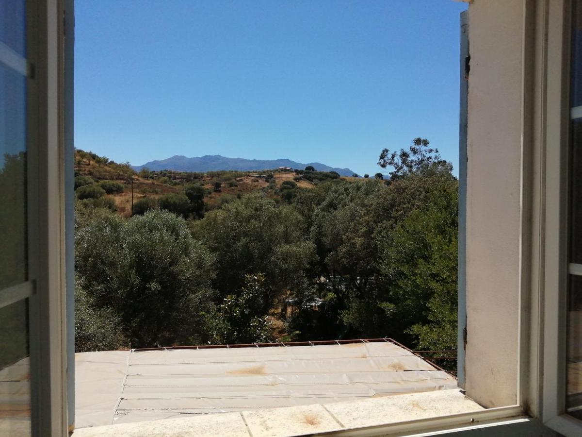 Hotel Berbi Rosse à Oletta  Extérieur photo